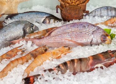 El pescado congelado puede ser tan bueno como el fresco e incluso mejor