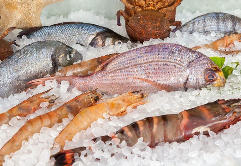 El pescado congelado puede ser tan bueno como el fresco e incluso mejor –  Comercial Santy